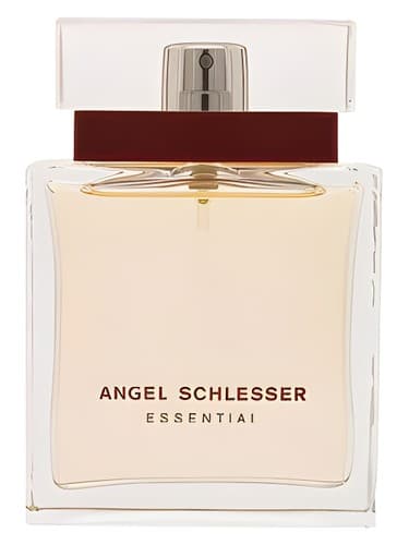 Angel Schlesser Essential