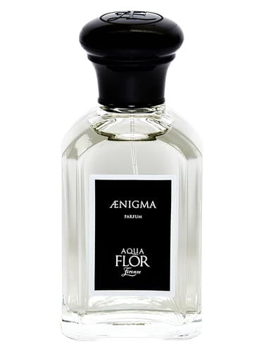 Aenigma