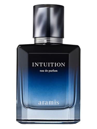 Intuition