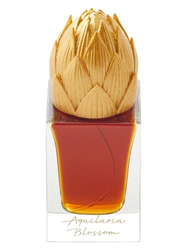 Aquilaria Blossom