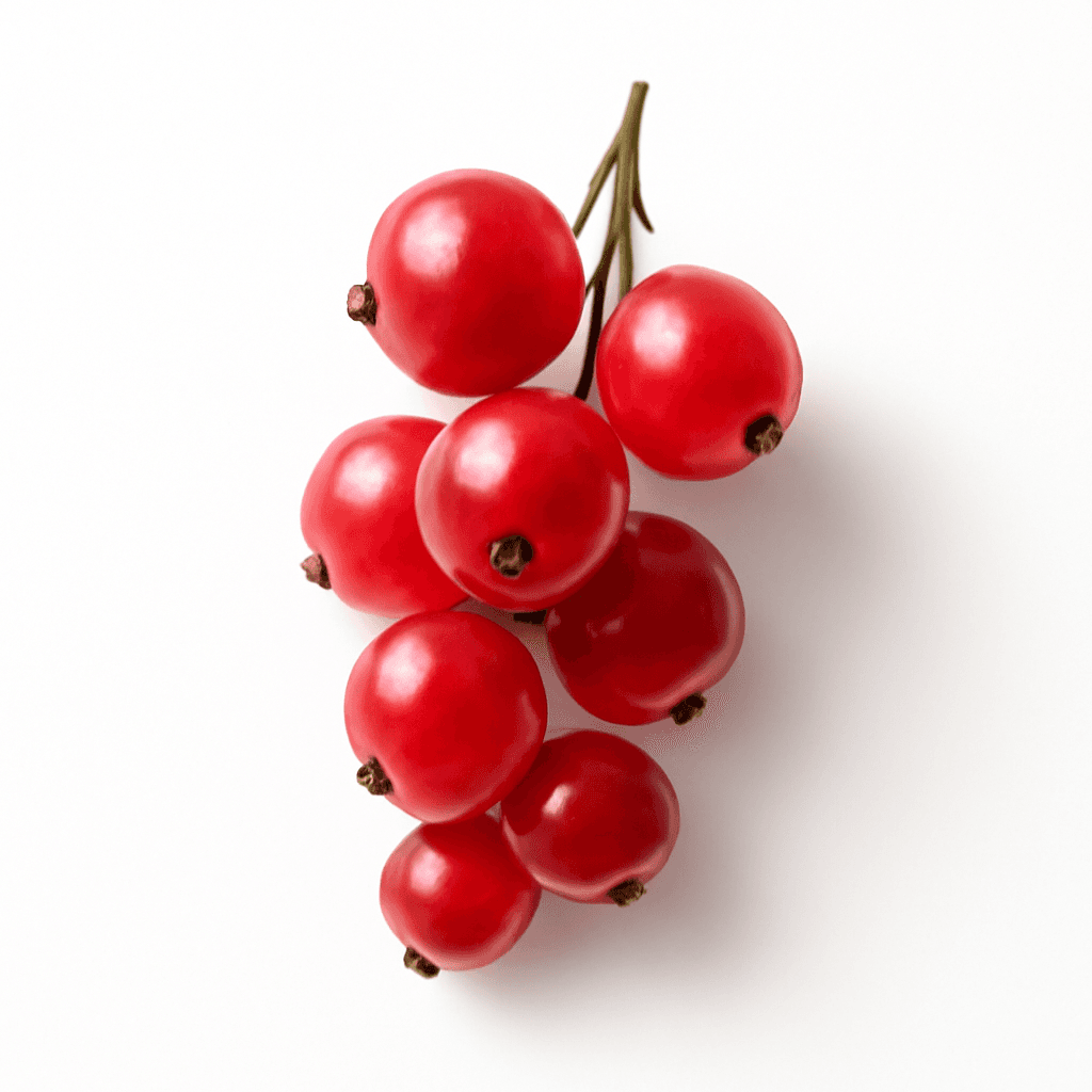Red Currant