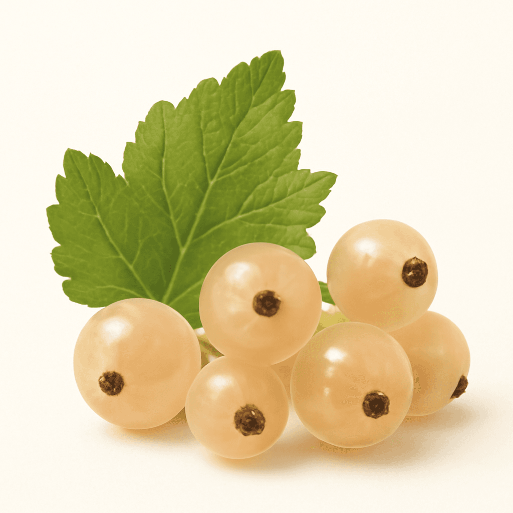 White Currant
