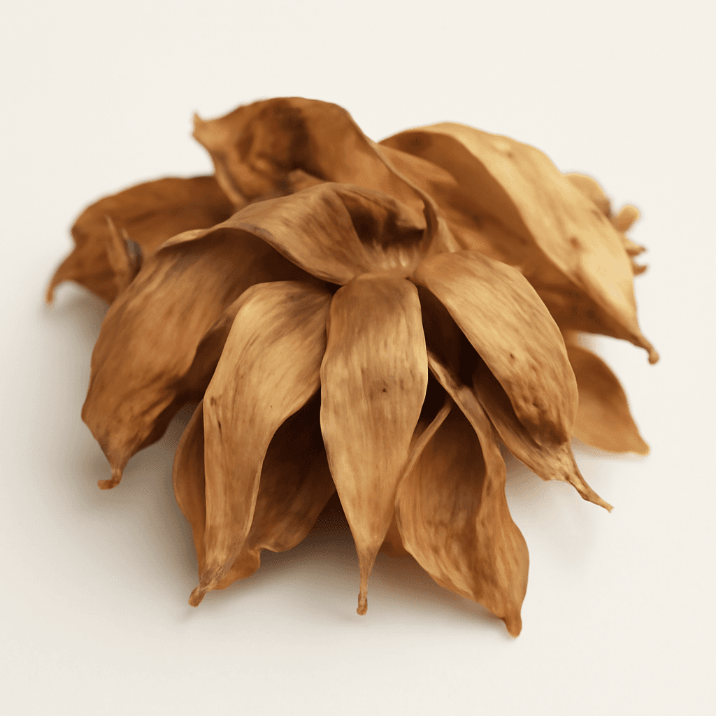 Honeybush or Cyclopia