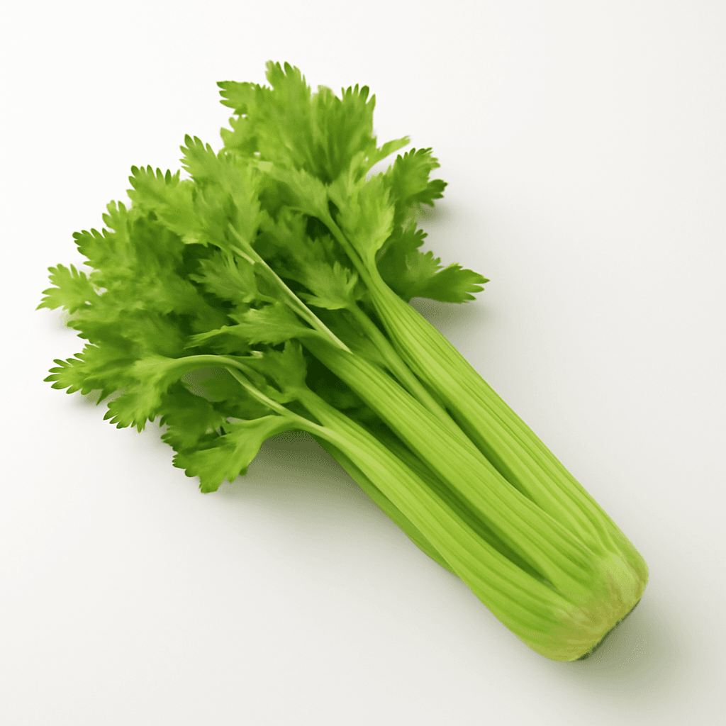 Celery