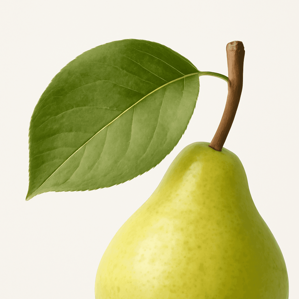 Pear Leaf