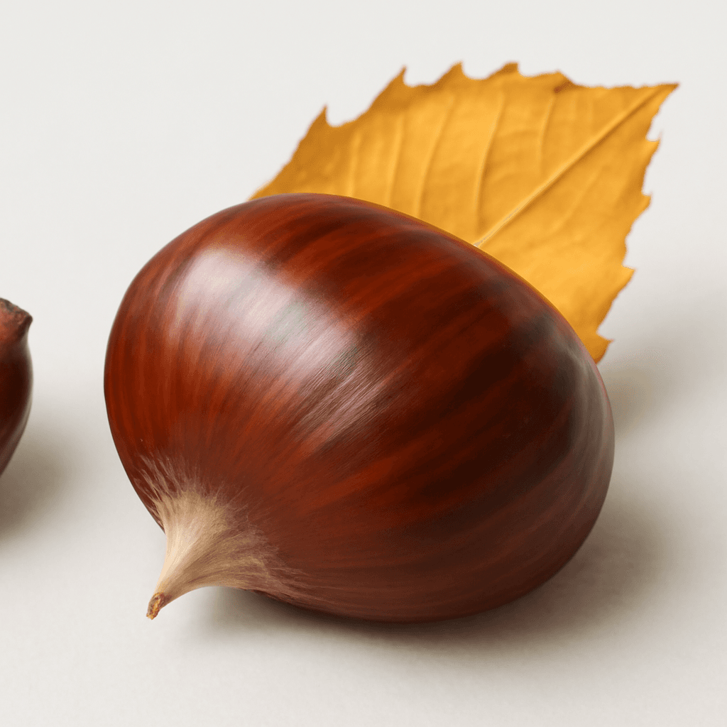 Chestnut