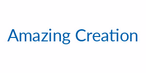 Amazing Creation