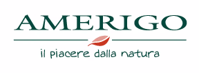Amerigo
