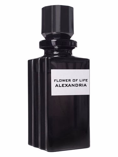 Flower of life Alexandria