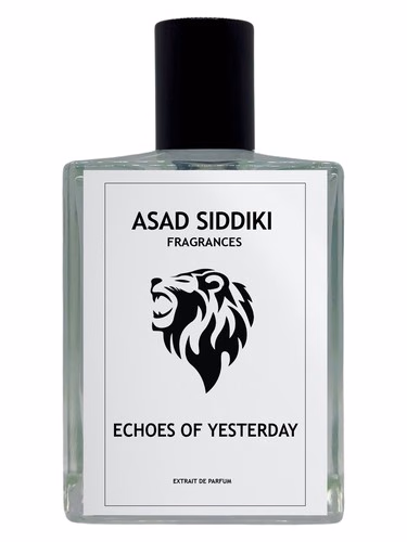 Echoes of Yesterday