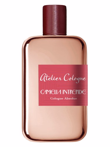Camelia Intrepide