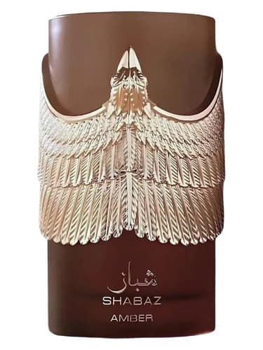Shabaz Amber