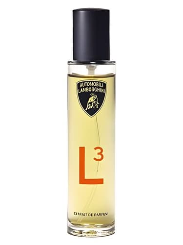 L3