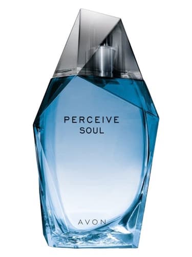 Perceive Soul