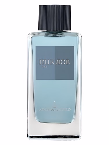 Mirror Man