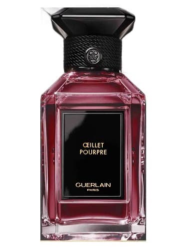 Oeillet Pourpre