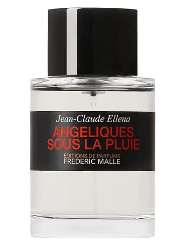 Angéliques Sous La Pluie