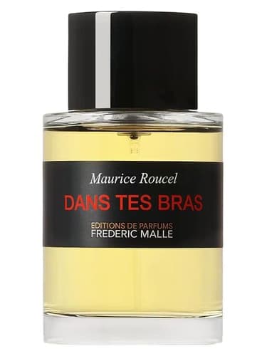Dans Tes Bras