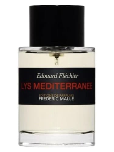Lys Mediterranee