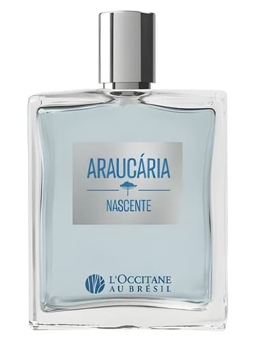 Araucária Nascente