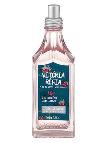 Vitória Régia Flor da Noite
