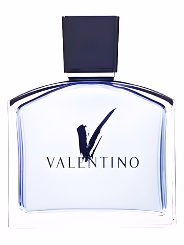 V pour Homme