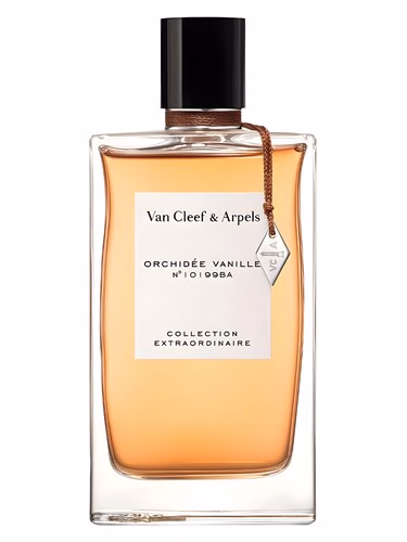 Orchidée Vanille