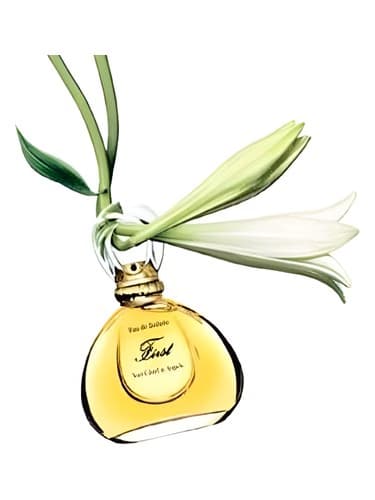 First Jasmin de Chine