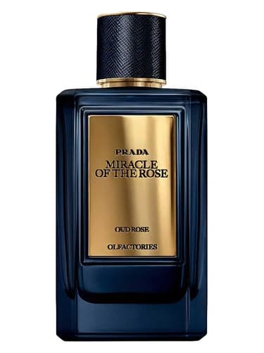 Mirages Miracle of the Rose