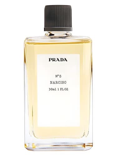 No5 Narciso