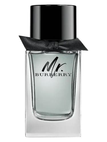 Mr. Burberry