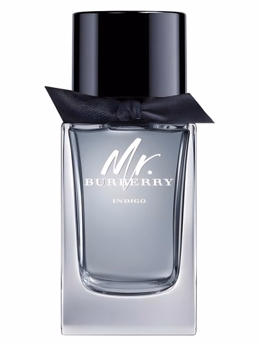 Mr. Burberry Indigo