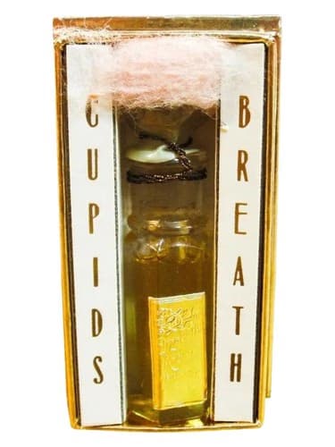 Cupids Breath