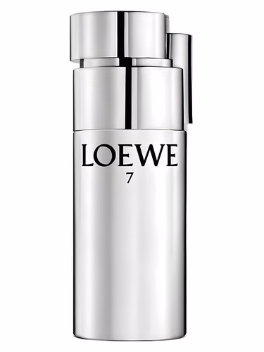 Loewe 7 Plata