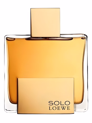 Solo Loewe Absoluto
