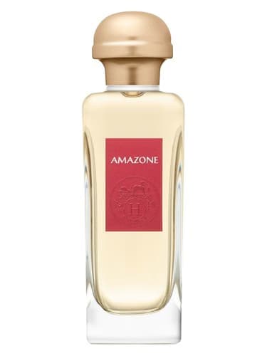Amazone (2017 re-launch)