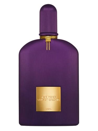Velvet Orchid Lumière