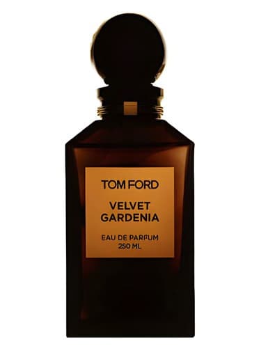 Velvet Gardenia