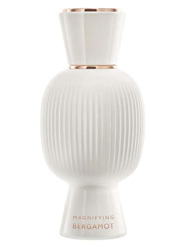 Allegra Magnifying Bergamot Essence