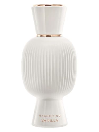 Allegra Magnifying Vanilla Essence