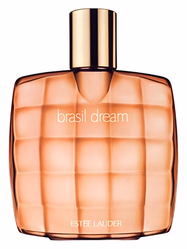 Brasil Dream