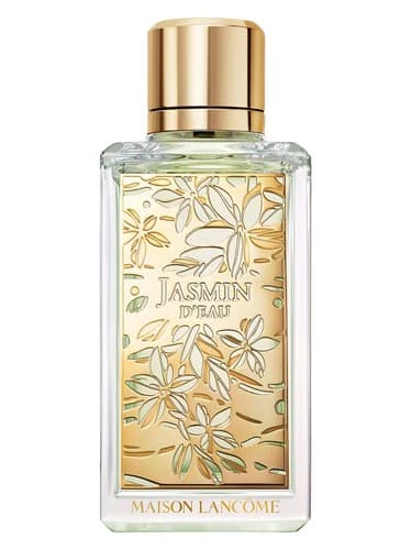 Jasmin D'eau