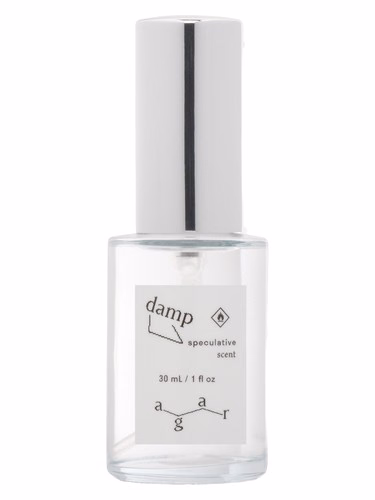 Damp