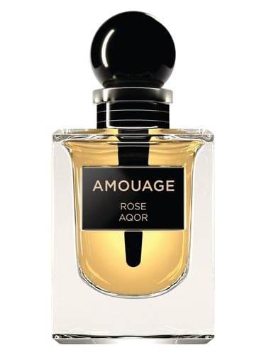Rose Aqor