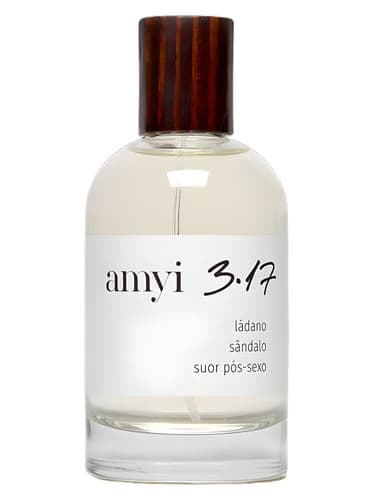 Amyi 3.17