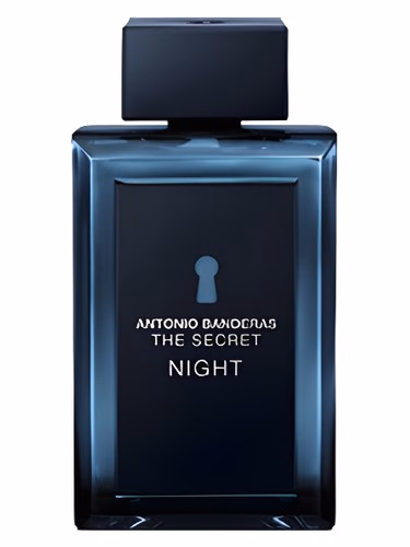 The Secret Night