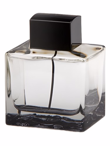 Splash Seduction In Black