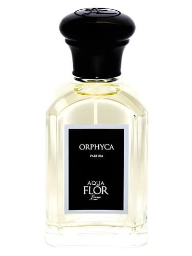 Orphyca