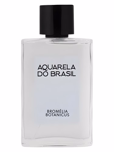 Bromélia Botanicus