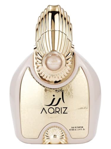 Aariz L’Absolu